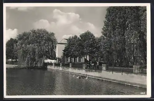 AK Kaiserslautern, Schwanenweiher im Ausstellungsgelände