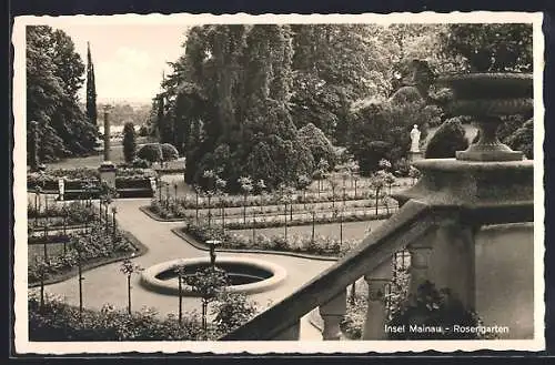AK Insel Mainau, Rosengarten, Partie mit Wasserbecken
