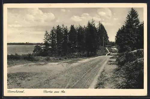 AK Bornhöved, Strassenpartie am See