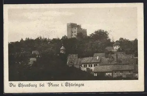 AK Plaue i. Thüringen, Teilansicht mit Ehrenburg
