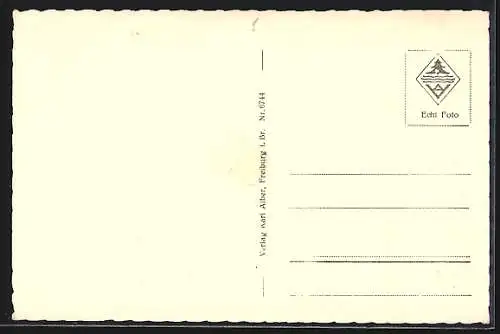 AK Breisach a. Rhein, Teilansicht mit Kirche und Schiffsbrücke