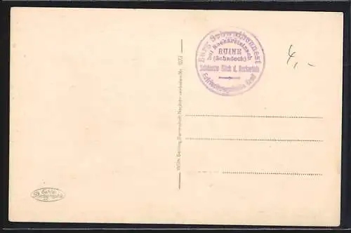 AK Neckarsteinach, Ortsansicht mit Mittel- und Vorderburg