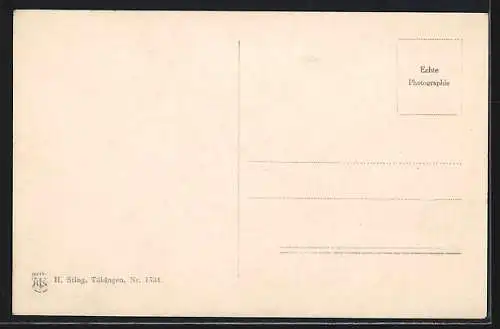 AK Rottenburg / N., Ortsansicht mit Wasser