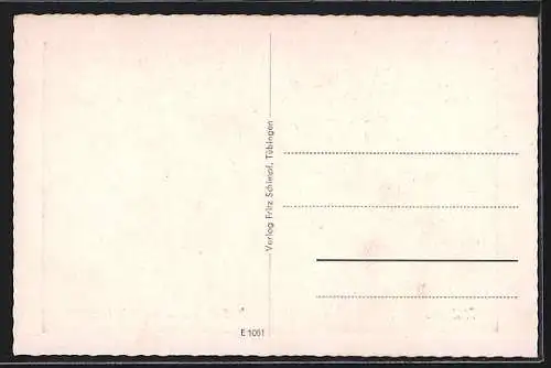 AK Tübingen, Neckarpartie mit Hölderlinturm