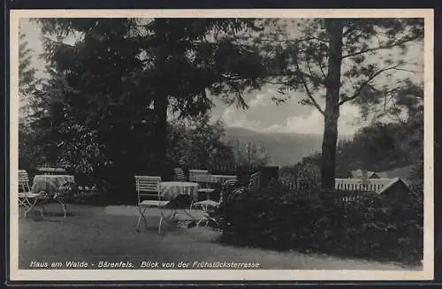 AK Bärenfels i. Osterzgeb., Gästeheim Haus am Walde, Blick von der Frühstücksterrasse