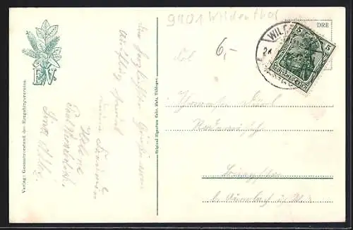 AK Wildenthal, Ortsansicht mit Auersberg, Auersberghaus mit Aussichtsturm