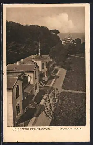 AK Heiligendamm, Ostseebad, Fürstliche Villen mit Strassenpartie
