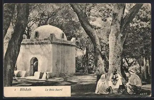 AK Blidah, Le Bois Sacré