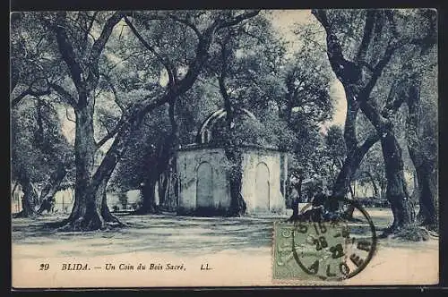 AK Blida, Un Coin du Bois Sacré