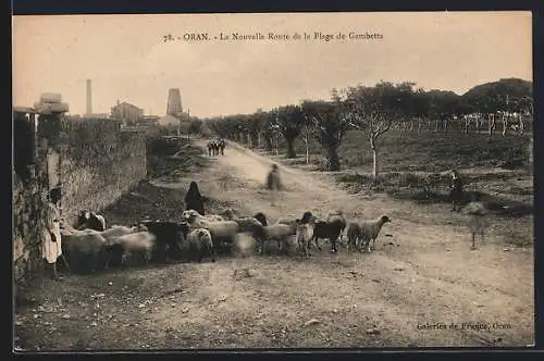 AK Oran, La Nouvelle Route de la Plage de Gambetta