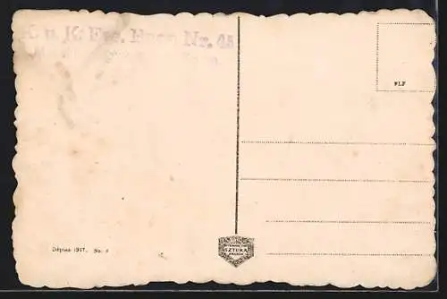 AK Przemysl, Widok z Zasania