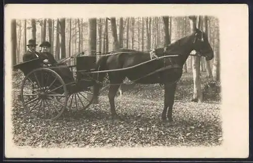 Foto-AK Paar in einem Einspänner im Wald