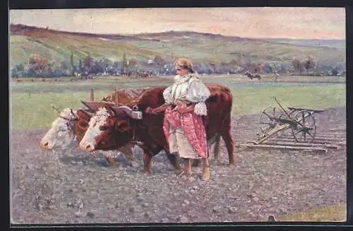 AK Bäuerin bindet Kühe an ein Gespann an