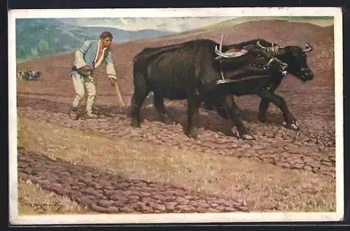 AK Bauer mit Ochsen-Gespann und Pflug auf einem steinigen Feld