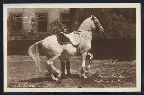 Foto-AK Wien, Spanische Reitschule, Favory Bionda, Piasse an der Hand, Reiter & Dressurpferd