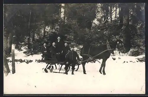 AK Herrengruppe in Begleitung eines Bernhardiners auf einem Pferdeschlitten