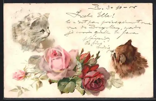 Lithographie Weisse und rote Katze, Rosen