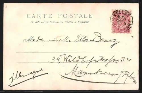 Lithographie Weisse und rote Katze, Rosen