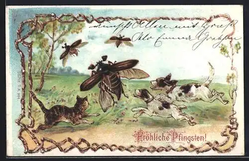 Lithographie Hunde und Katze jagen Maikäfern hinterher, Pfingstgruss