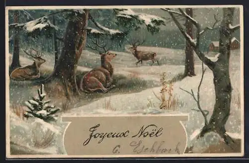 AK Hirsche im Winterwald