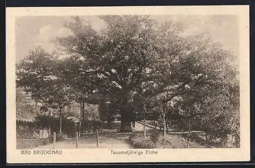 AK Bad Brückenau, Tausendjährige Eiche