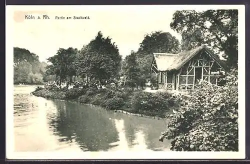 AK Köln-Lindenthal, Partie am Stadtwald