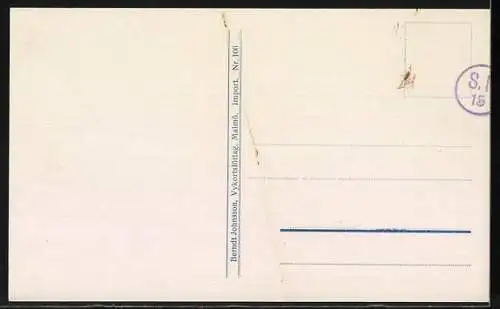 AK Malmö, Radhuset, Partie am Rathaus