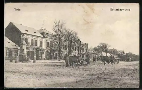 AK Tata, Eszterházy-utca