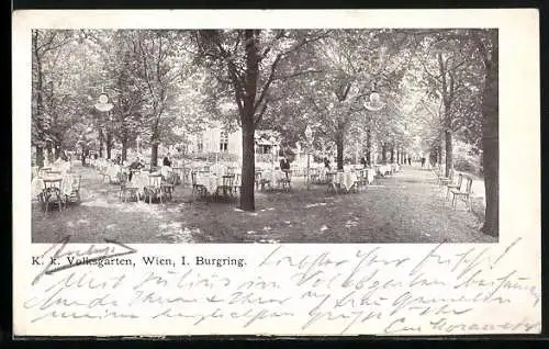 AK Wien, Restaurant K. k. Volksgarten am Burgring