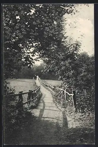 AK Bad Suderode a. Harz, Waldweg nach Stecklenberg über die Elfenwiese