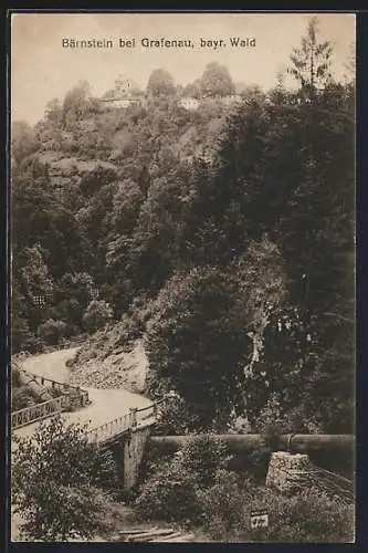 AK Grafenau-Bärnstein /Bayr. Wald, Weg zum Ort
