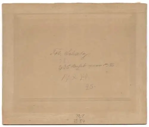 Fotografie H. G. Mehlert, Itzehoe, Frau und Mann, Mann mit buschigem Schnauzbart