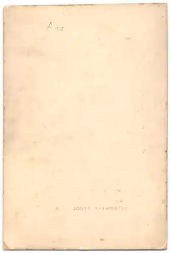 Fotografie Josef Baumeister, Ansicht Paris, Frontansicht des Louvre mit Pferdekutsche