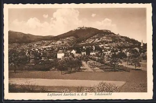 AK Auerbach / Hessen, Totalansicht