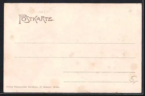 AK Weida / Thür., Ortsansicht von der Paulinenhöhe