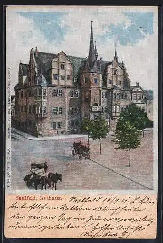 Seiden-Imitations-AK Saalfeld / Saale, Rathaus mit Strassenpartie