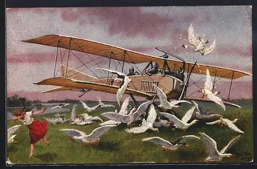 Künstler-AK Arthur Thiele: Flugzeug landet in einer Schar Gänse