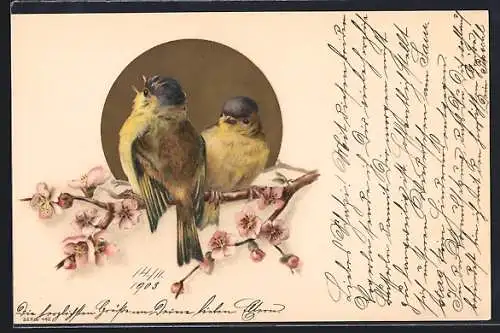 AK Zwei Singvögel auf einem blühenden Zweig