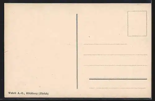 AK Gemsen im Hochgebirge
