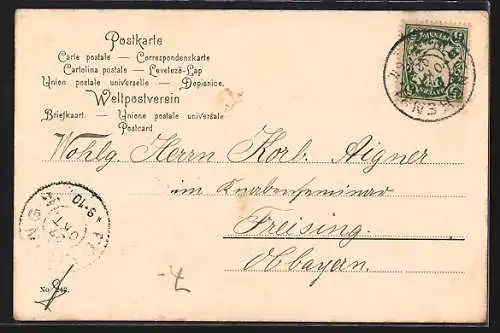 AK Kampfruf, Hirsch in einem Gewässer