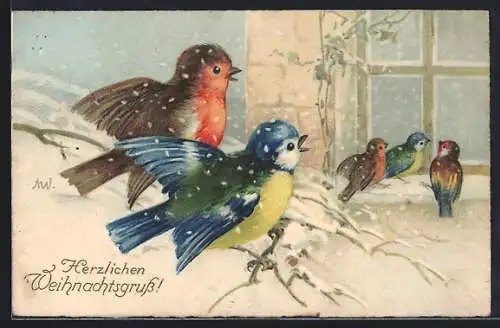 AK Singvögel im Schnee vor einem Fenster, Weihnachtsgruss