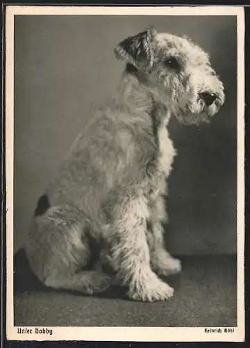 AK Unser Bobby, Portrait