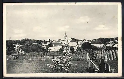 AK Cernovice u Tabora, Celkovy pohled
