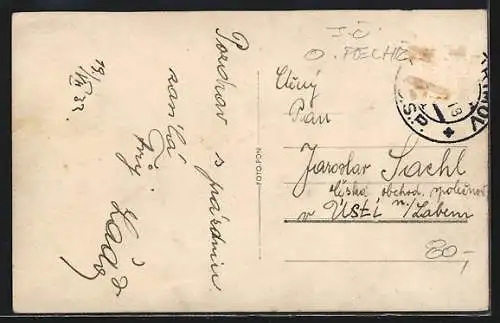 AK Pelhrimov, Celkovy pohled