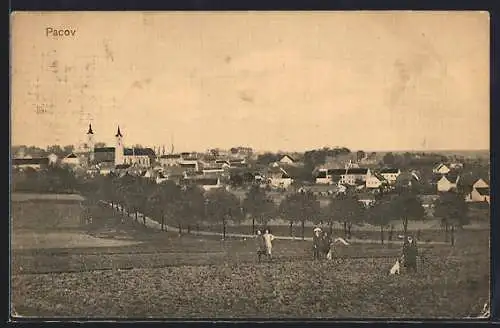 AK Pacov, Ortspanorama mit Landstrasse und Feldern