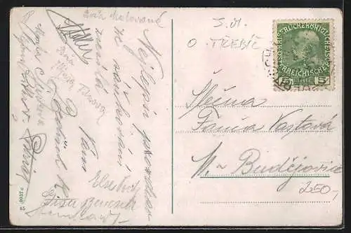 AK Trebic, Udoli u Janova mlyna