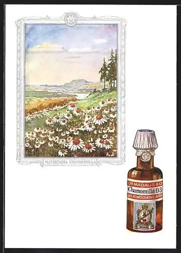 AK Dr. Madaus & Co, Homöopathische Heilmittel, Matricaria Chamomilla