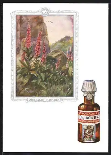 AK Dr. Madaus & Co, Homöopathische Heilmittel, Digitalis Purpurea, Roter Fingerhut