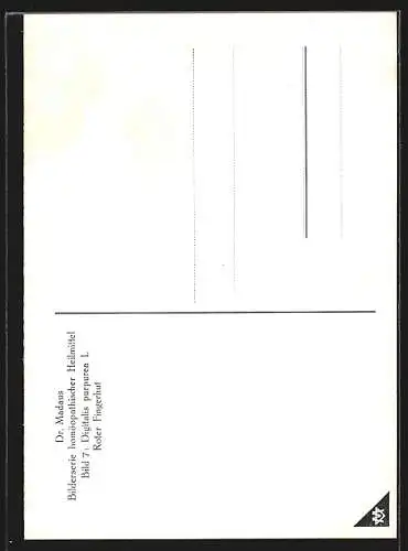 AK Dr. Madaus & Co, Homöopathische Heilmittel, Digitalis Purpurea, Roter Fingerhut