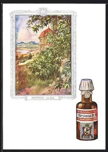 AK Dr. Madaus homöopathische Heilmittel, Zaunrübe